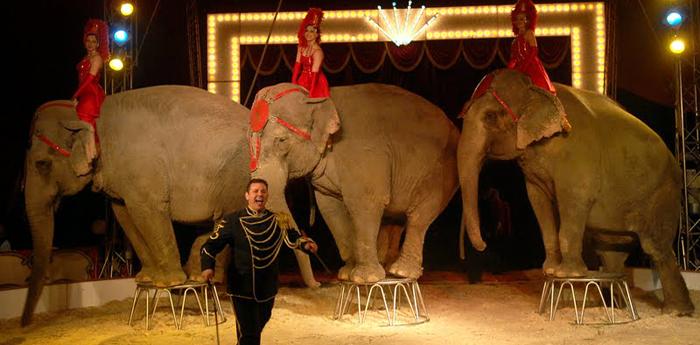 esibizione di elefanti all'american circus togni