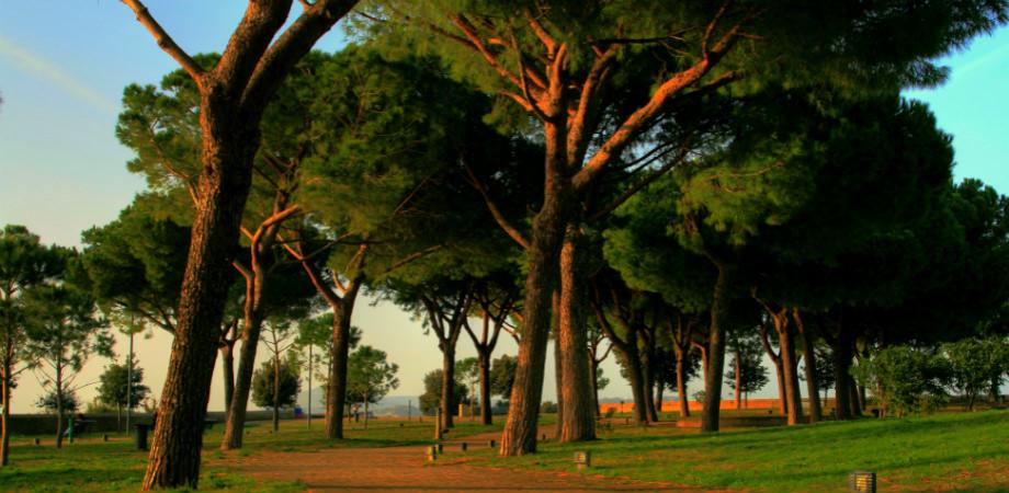 Parco virgiliano Parco virgiliano