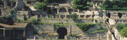 Terme Romane di Baia, Festival del Dramma Antico