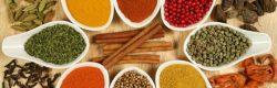 spezie dei piatti in degustazione ad intrecci, il festival della cucina mediterranea