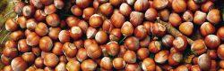 nocciole, festa della nocciola 2017 a boscoreale