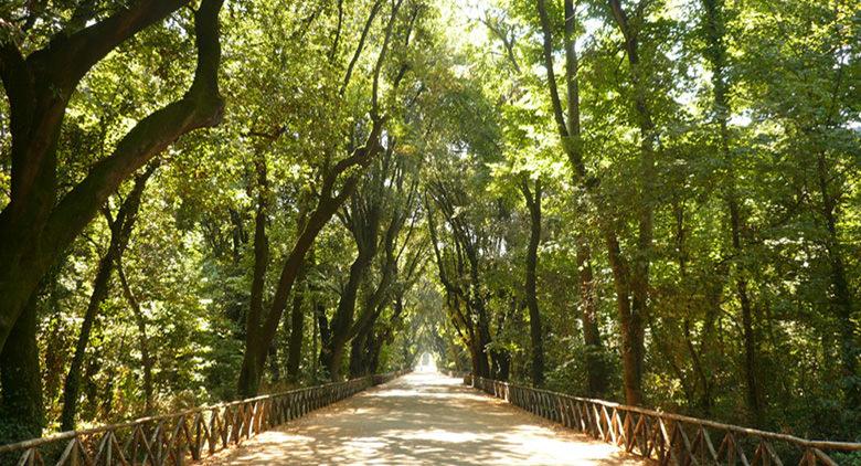 Bosco di Capodimonte a Napoli