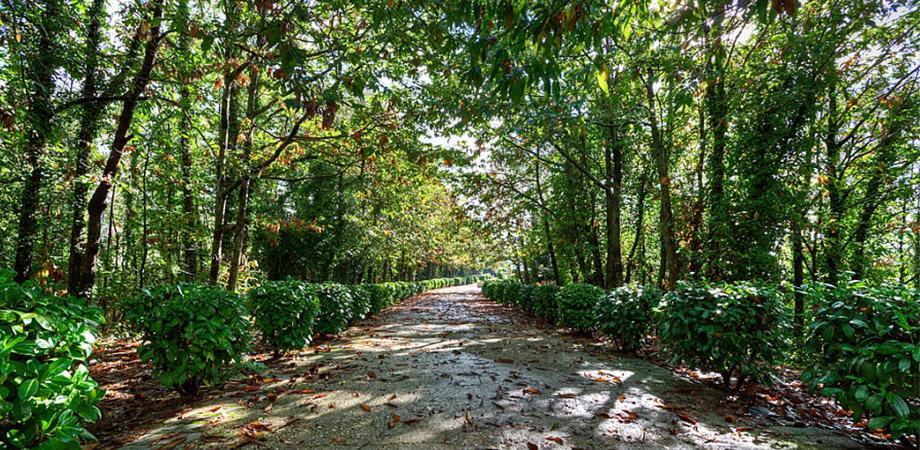 Viale del Parco dei Camaldoli a Napoli