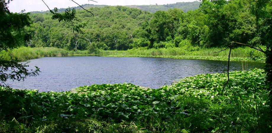 Lago Grande nella Riserva Naturale degli Astroni