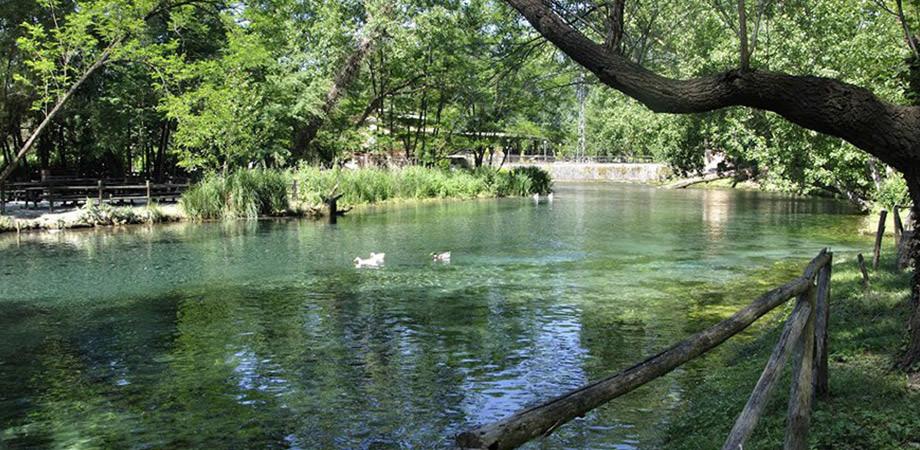 Il Rio del Parco del Grassano