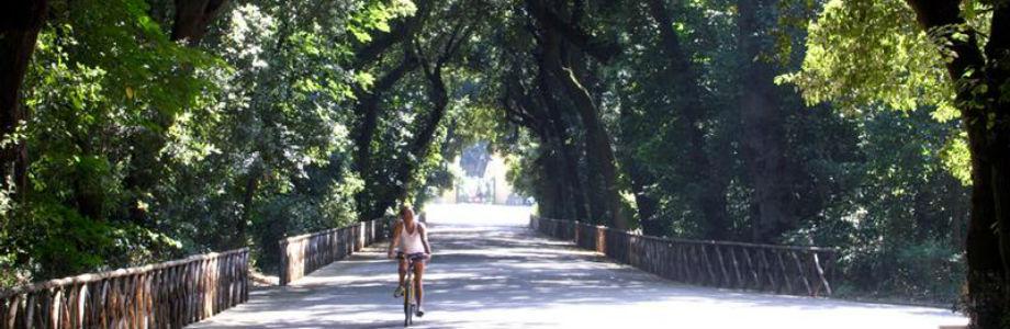 Uno dei percorsi da esplorare nel RealBosco di Capodimonte a Napoli