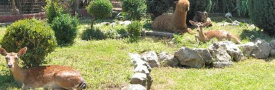 Alcune degli animali che si potranno osservare nel giardino segreto di Airola