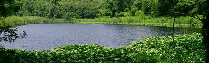 Astroni Reserve in Naples