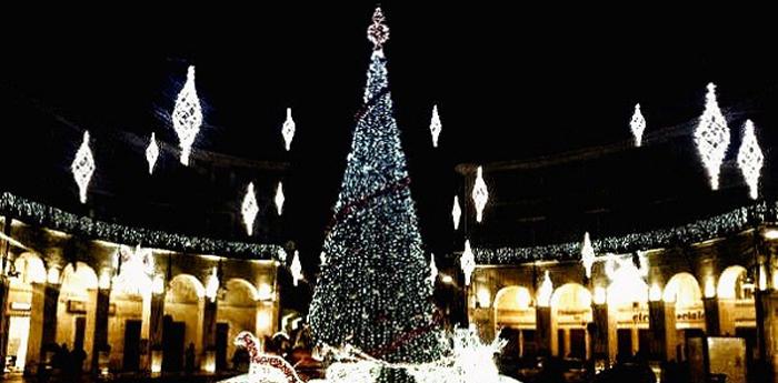 Der Weihnachtsbaum auf dem Platz in Caserta