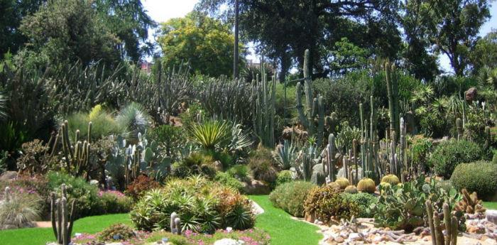 Pflanzen und Bäume des Botanischen Gartens von Neapel