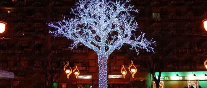 Starry-sky-and-Walnut-Tree