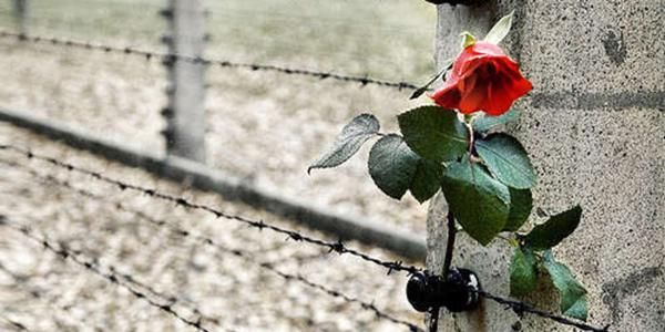 flor colocada fuera de un campo de concentración nazi para el día de la memoria