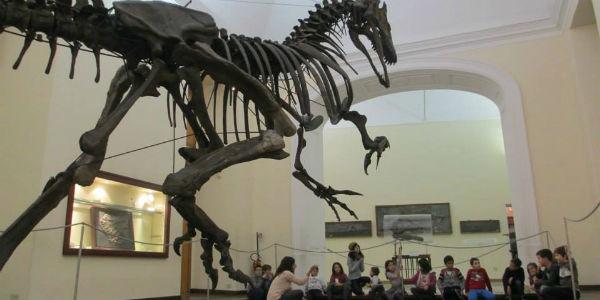 Foto del Museo di Paleontologia di Napoli, festa di Carnevale 2014