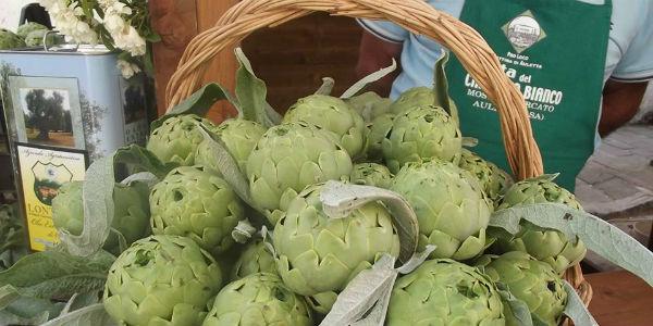 White artichokes for the festival of Auletta