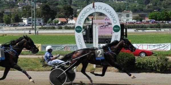 Caballos de carreras en el Hipódromo de Agnano