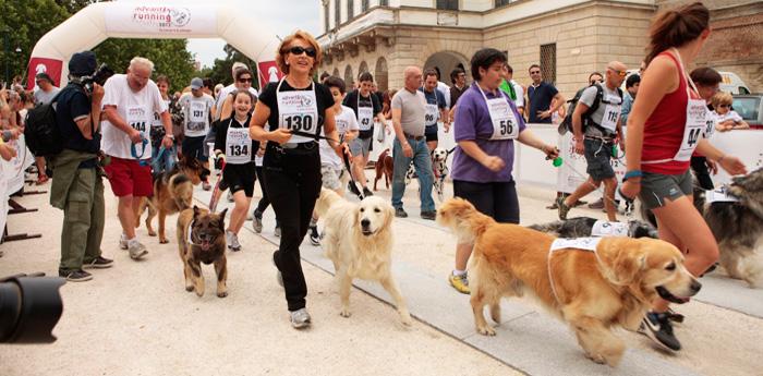 Advantix corriendo el maratón de perros