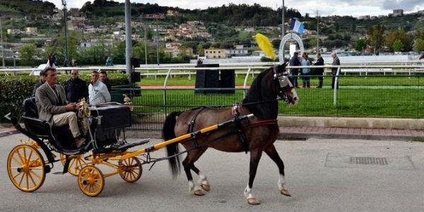 Carrera de trote en el Hipódromo de Agnano en Nápoles