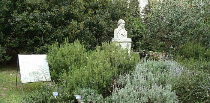 Interior of the Botanical Garden of Naples with bust of Domenico Cirillo