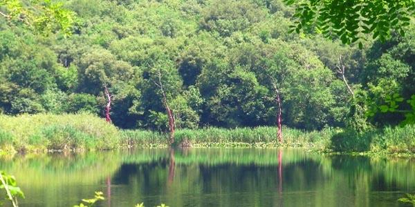 reserva natural segurando astroni em Nápoles