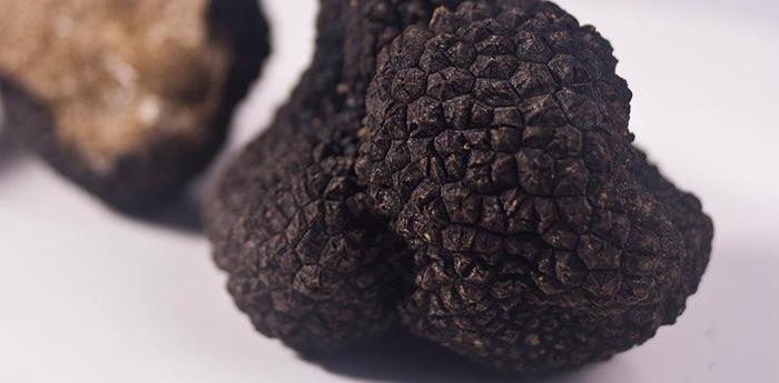 the black summer truffle