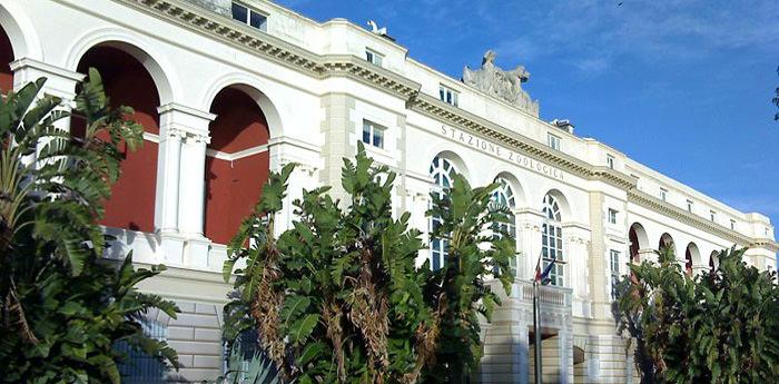 la stazione zoologica anton dohrn di napoli con l'acquario