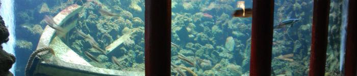 Acquario di Napoli