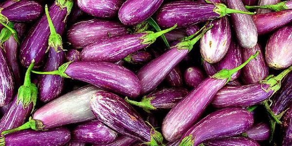 Fête de l'aubergine Preazzano