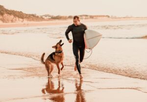 ナポリとカンパーニャの犬のためのビーチとプール