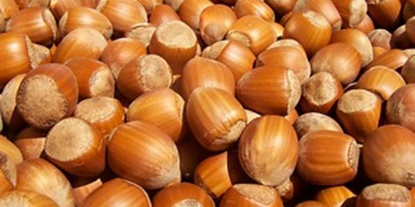 Baiano Hazelnut Festival