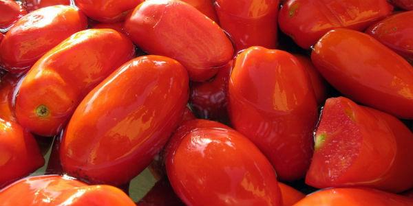 San Marzano PDOのSagra del Pomodoro