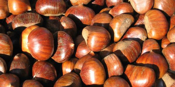 chestnuts