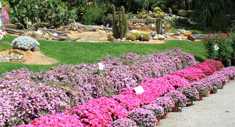 Jardín Botánico-Nápoles