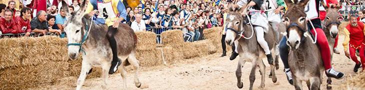 Palio degli asini