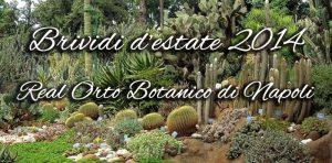 Brividi d’Estate 2014 al Real Orto Botanico di Napoli | Programma spettacoli