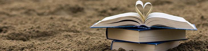 Book on the beach