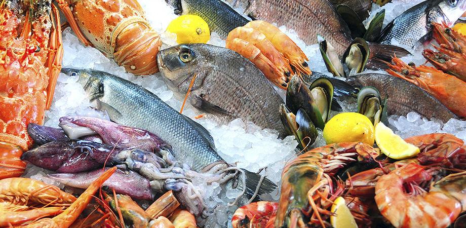 Mercato di Porta Nolana a Napoli Mercato di Porta Nolana a Napoli