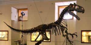 Weihnachten 2014 im Museum für Paläontologie in Neapel