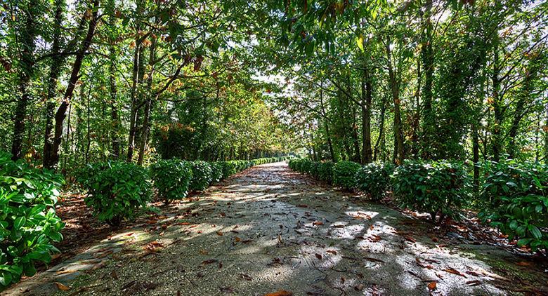 Parque Camaldoli em Nápoles