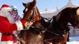 Natale 2014 al Parco dell’Ippodromo di Agnano di Napoli