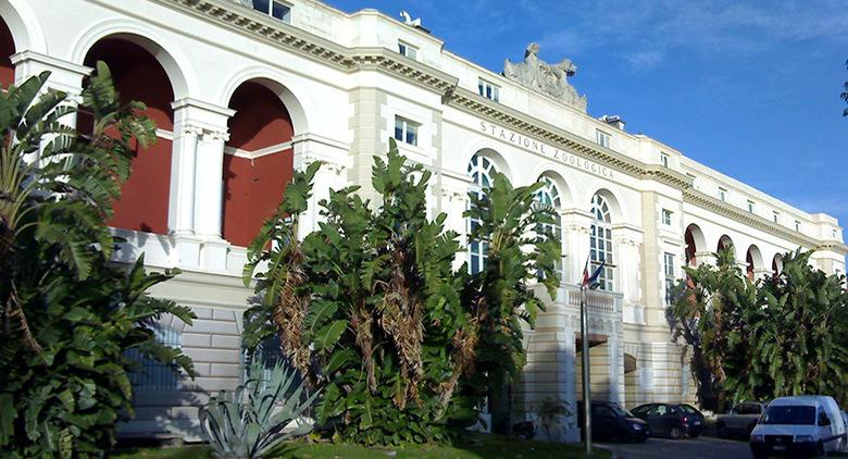 Anton Dohrn Zoological Station in Naples