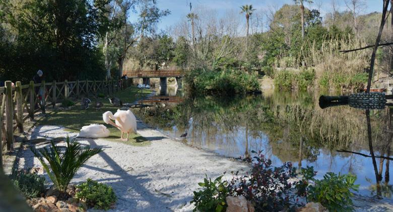 Photo interne du zoo de Naples