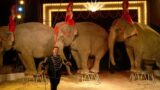 L’American Circus torna al Magic World di Licola (Na) per Natale 2014