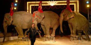 L’American Circus torna al Magic World di Licola (Na) per Natale 2014