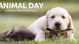День животных: день, посвященный животным в Пан в Неаполе