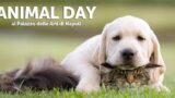 Animal Day: una giornata dedicata agli animali al PAN di Napoli