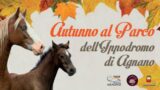 Autunno al Parco dell'Ippodromo di Agnano