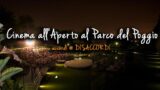 Cinema all’Aperto al Parco del Poggio (accordi @ DISACCORDI) – Estate 2014