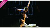 I migliori spettacoli teatrali a Napoli, Aprile 2015 | Commedie e Musical | Rubrica