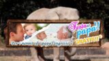 Зоопарк Неаполя: папа, дедушка с бабушкой приходят на День отца бесплатно