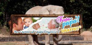 Zoo de Naples: papá y abuelos entran gratis para el día del padre
